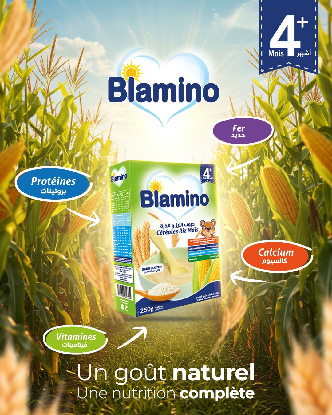 WhatsApp Image 2025-08-05 à 18.25.38_cde0bad2